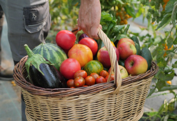 Fête de la Pomme et du maraîchage à Saint-Denis