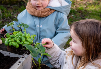 Atelier du printemps pour les familles à la ferme de Gally de Sartrouville
