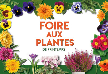 Foire aux plantes à la jardinerie de Gally à Saint Cyr l'Ecole Yvelines