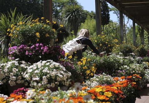 Jardinerie magasin de jardinage