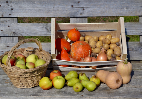 Cucurbitacées et pommes de la Cueillette de Gally