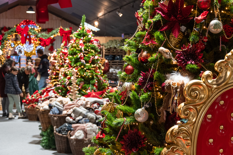 Fabriquez vos décorations de Noël en famille ! - Verger Champêtre