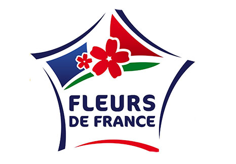 Logo fleur bleue