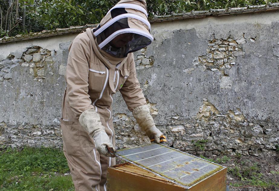 Pose de grille à reine