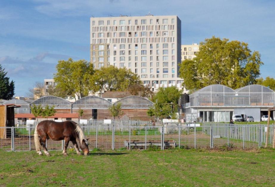 visite de la ferme de gally de saint denis