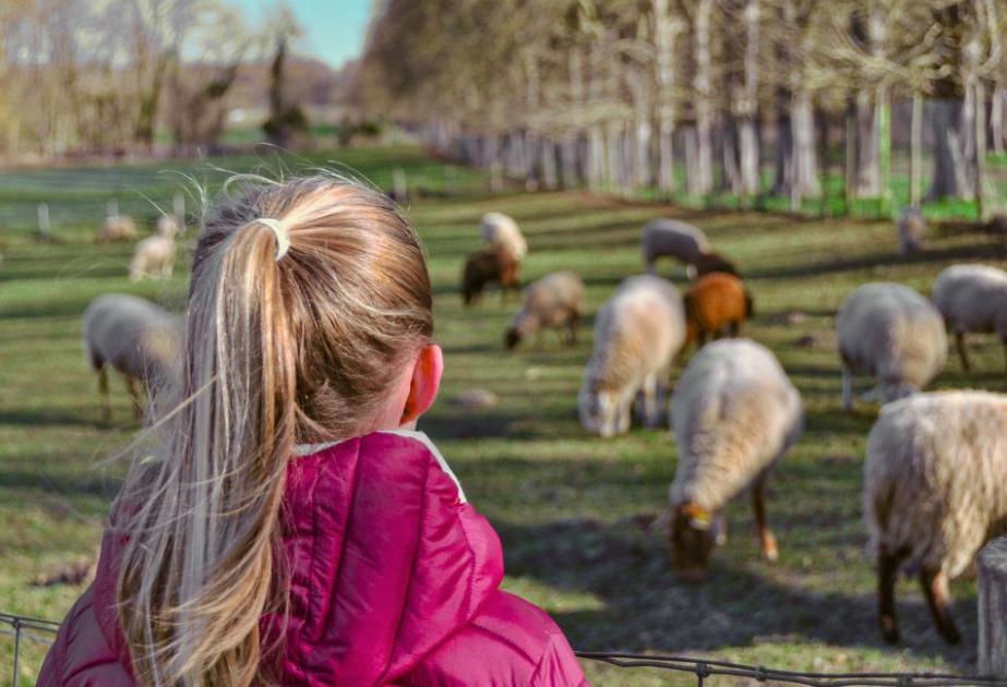 Visite de la ferme de gally à saint cyr l'école