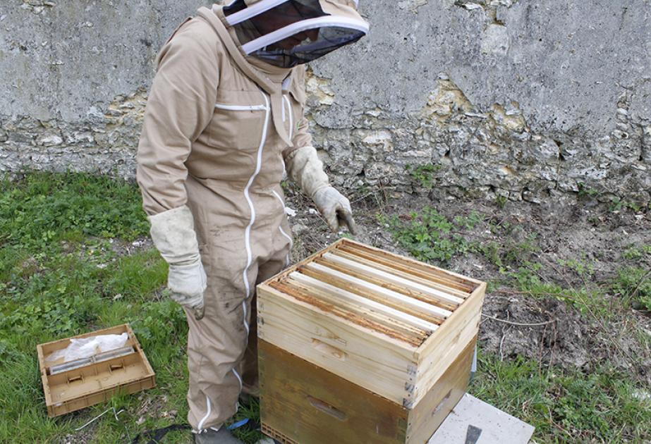 Dernière étape : la pose de la hausse