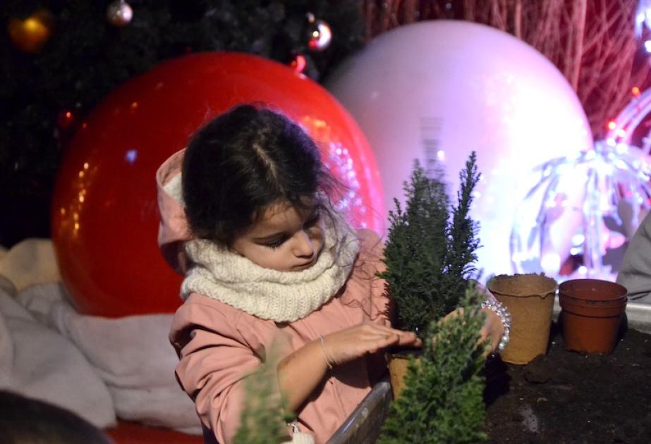 Atelier sapin de noel ferme gally saint cyr l'ecole