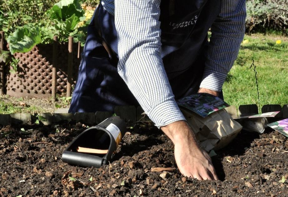 Matériel de jardinage et d'entretien du jardin