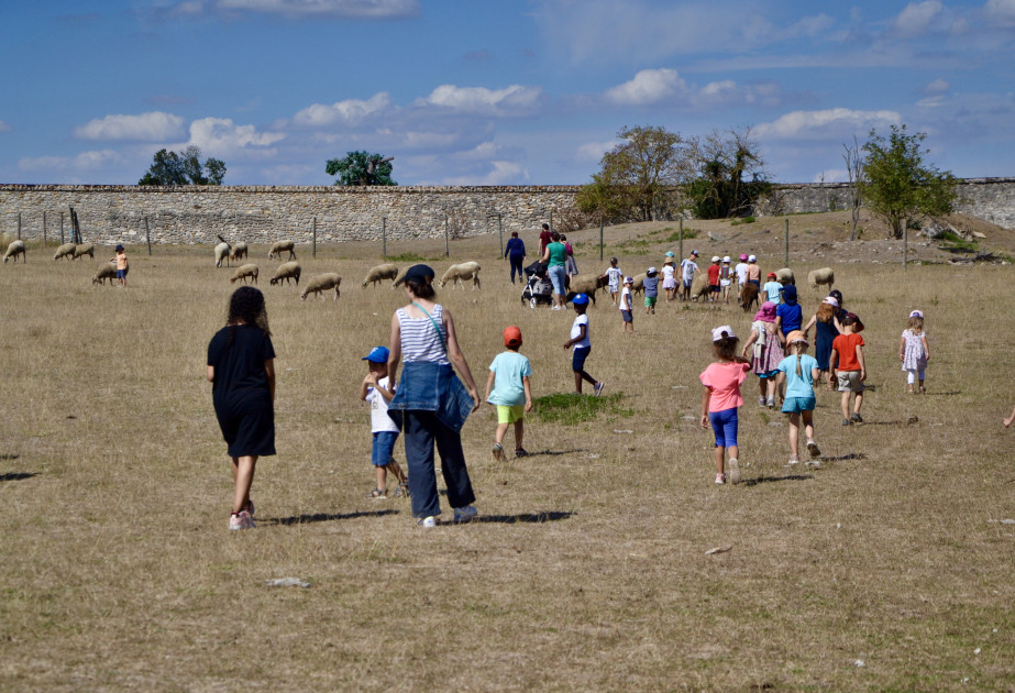 Visite centre de loisirs ferme de gally saint-cyr-l'école