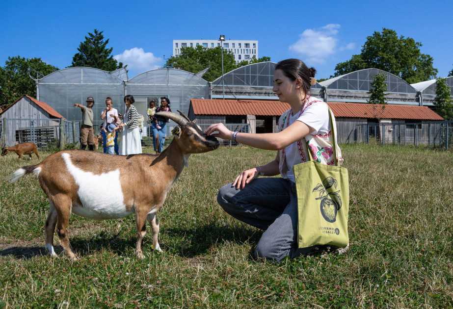 visite groupe ferme de gally de saint-denis