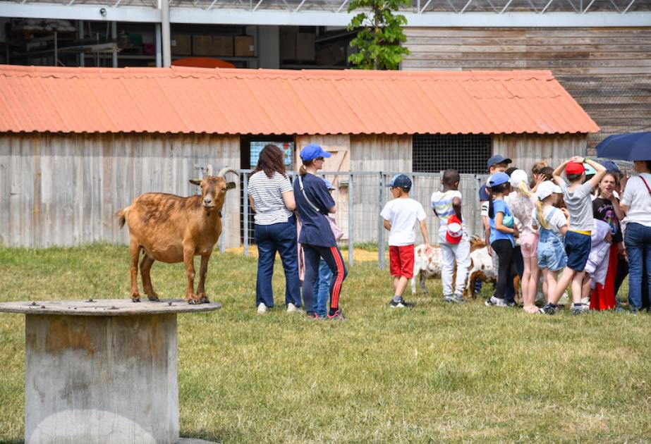 Visite à la ferme pédagogique de Saint Denis pour les écoles