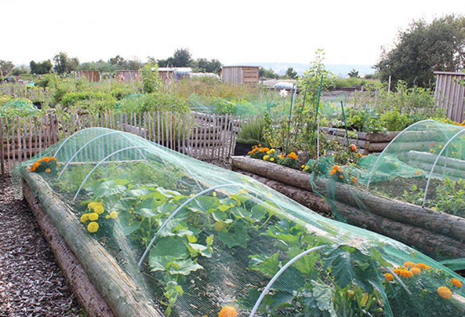 Les potagers de Gally en location