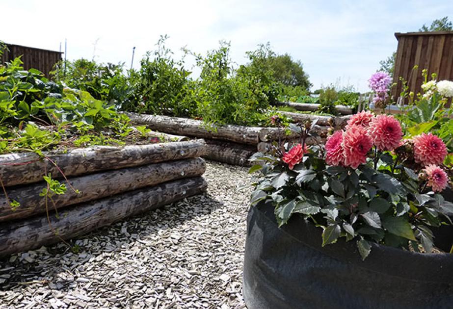 Les fleurs cultivés par les jardiniers