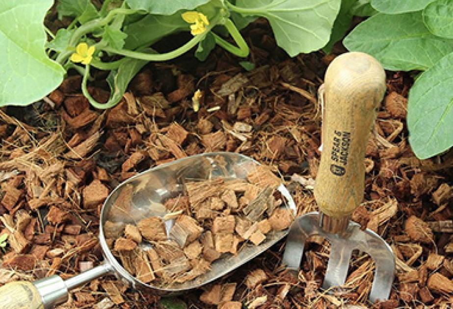 Matériel de jardinage et d'entretien du jardin