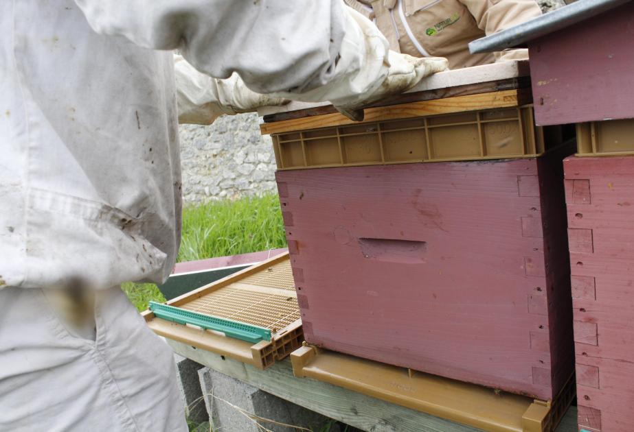 Installation de la ruche