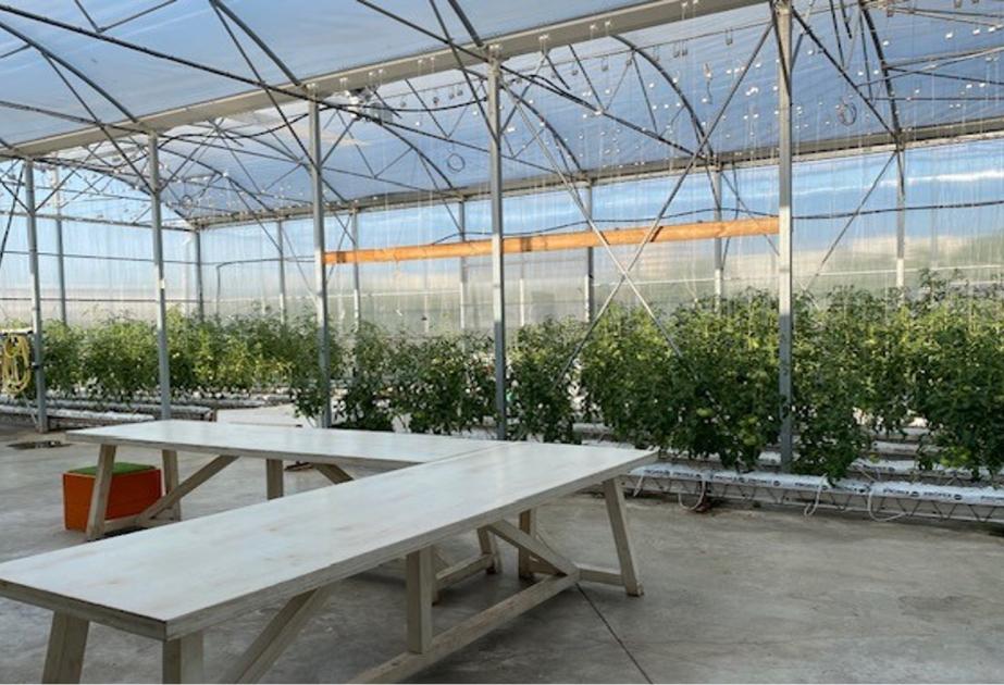 espace pour soirée d'entreprise