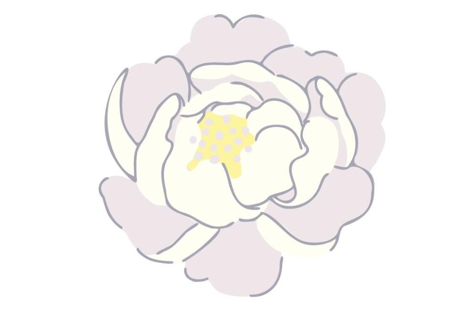 Pivoine fleur de pêcher
