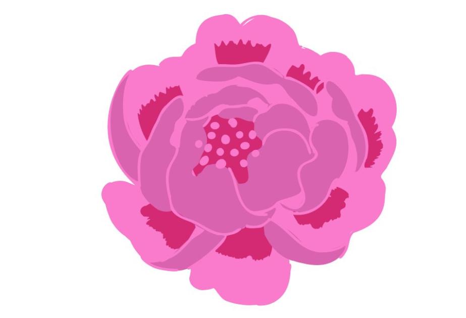 Pivoine Madame Boulanger