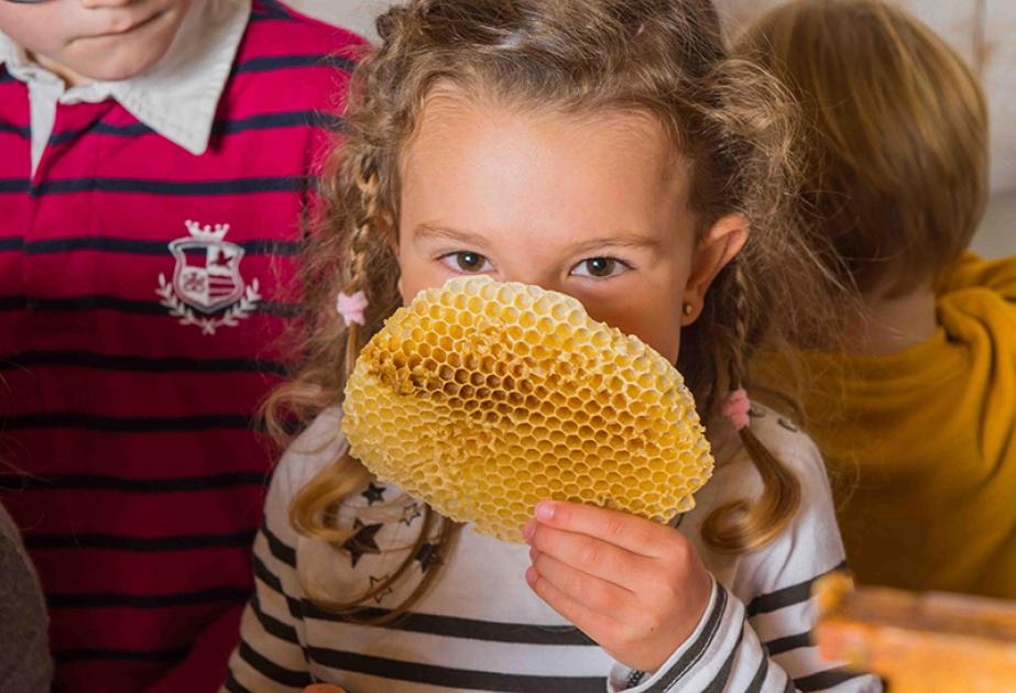 atelier abeilles enfant activité nature centre de loisirs