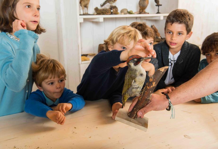 Activités pour enfants à la ferme pédagogique de Sartrouville