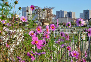 Atelier entreprise à la ferme