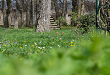 Offre de saison à la jardinerie des fermes de gally