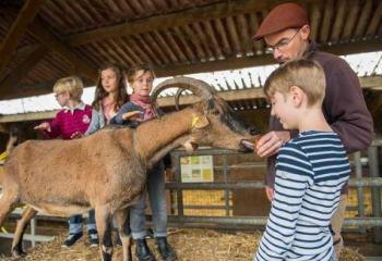 Ferme pédagogique pour enfant à de Saint Cyr l'Ecole