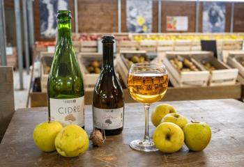 Cidre des Fermes de Gally à la Cueillette de Gally