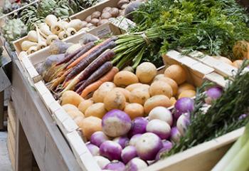 Marché des Fermes de Gally Feucherolles