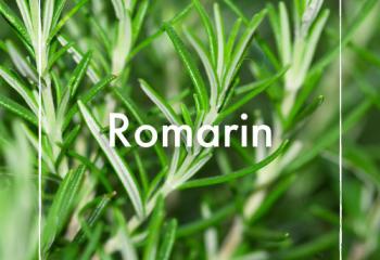 Romarin