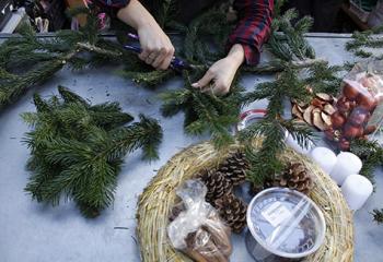Ramifiez le sapin