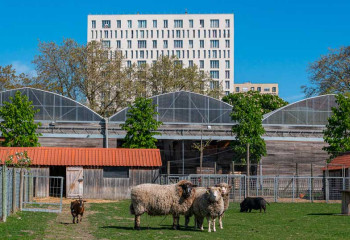 ferme pédagogique saint denis