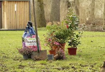 vente outil de jardin