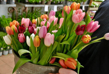 Bouquets de fleurs à la Ferme de Gally Fleuriste Saint-Cyr l'Ecole