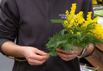 Bouquets de fleurs à la Ferme de Gally Fleuriste Saint-Cyr l'Ecole