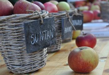 Fête du Goût enfants ferme ouverte saint cyr