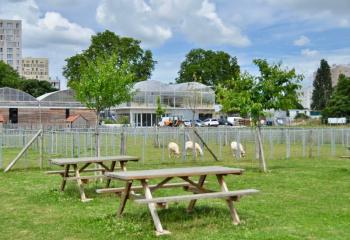 Fête des Oeufs à la Ferme de Gally de Saint-Denis