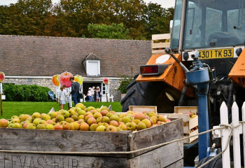 Fête de la Pomme à la Ferme ouverte de Saint-Cyr-l'Ecole