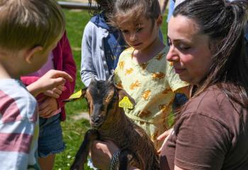 Chasse aux oeufs des vacances à la ferme de gally de saint cyr l'ecole