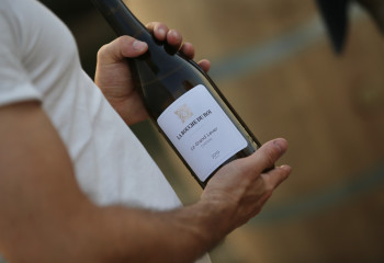 Rencontre & dégustation : Domaine de la Bouche du Roi