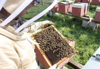 Observation d'un cadre