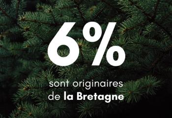 Nos sapins de Noel de Bretagne