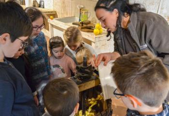 Atelier jus de pommes