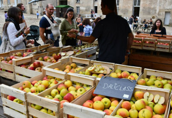 Fête de la Pomme à la Ferme ouverte de Saint-Cyr-l'Ecole