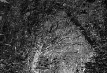 "Palimpseste" de Cyril le Tourneur d'Ison