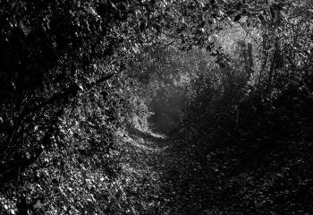 "Palimpseste" de Cyril le Tourneur d'Ison