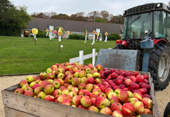 Fête de la Pomme à la Ferme de Gally de Saint-Cyr-l'Ecole