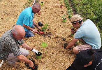 atelier jardinage en équipe