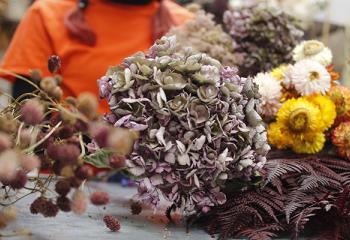 Réalisation d'un bouquet de fleurs séchées